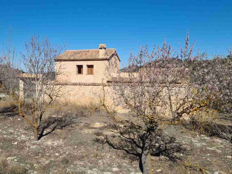 Herregård i Biar, Alicante - bilde 2